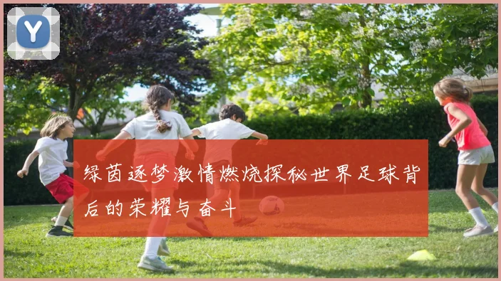 绿茵逐梦激情燃烧探秘世界足球背后的荣耀与奋斗