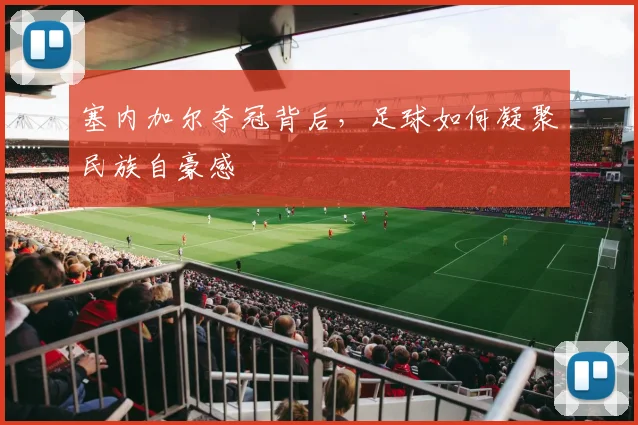 塞内加尔夺冠背后，足球如何凝聚民族自豪感