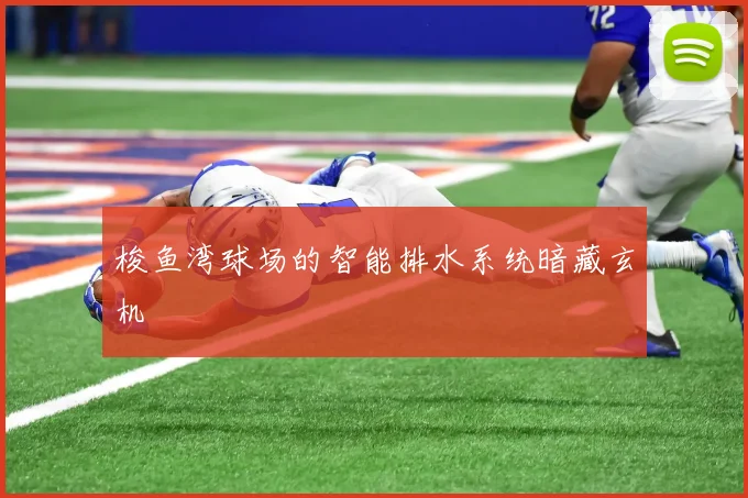 梭鱼湾球场的智能排水系统暗藏玄机