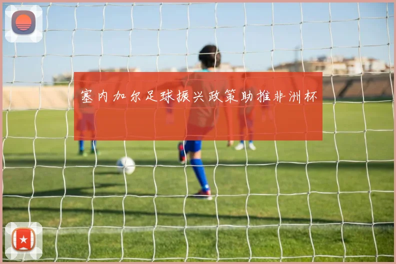 塞内加尔足球振兴政策助推非洲杯