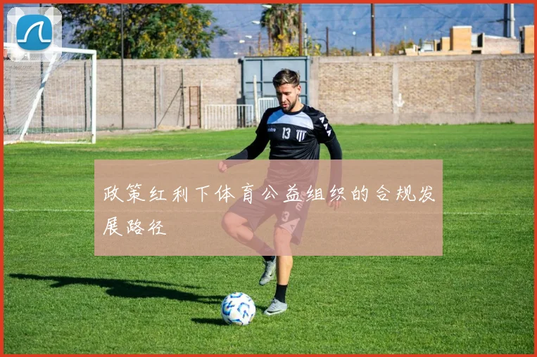 政策红利下体育公益组织的合规发展路径