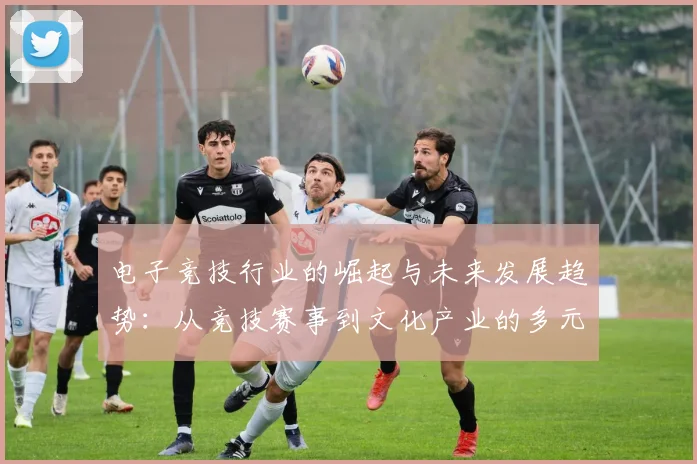 电子竞技行业的崛起与未来发展趋势：从竞技赛事到文化产业的多元化融合